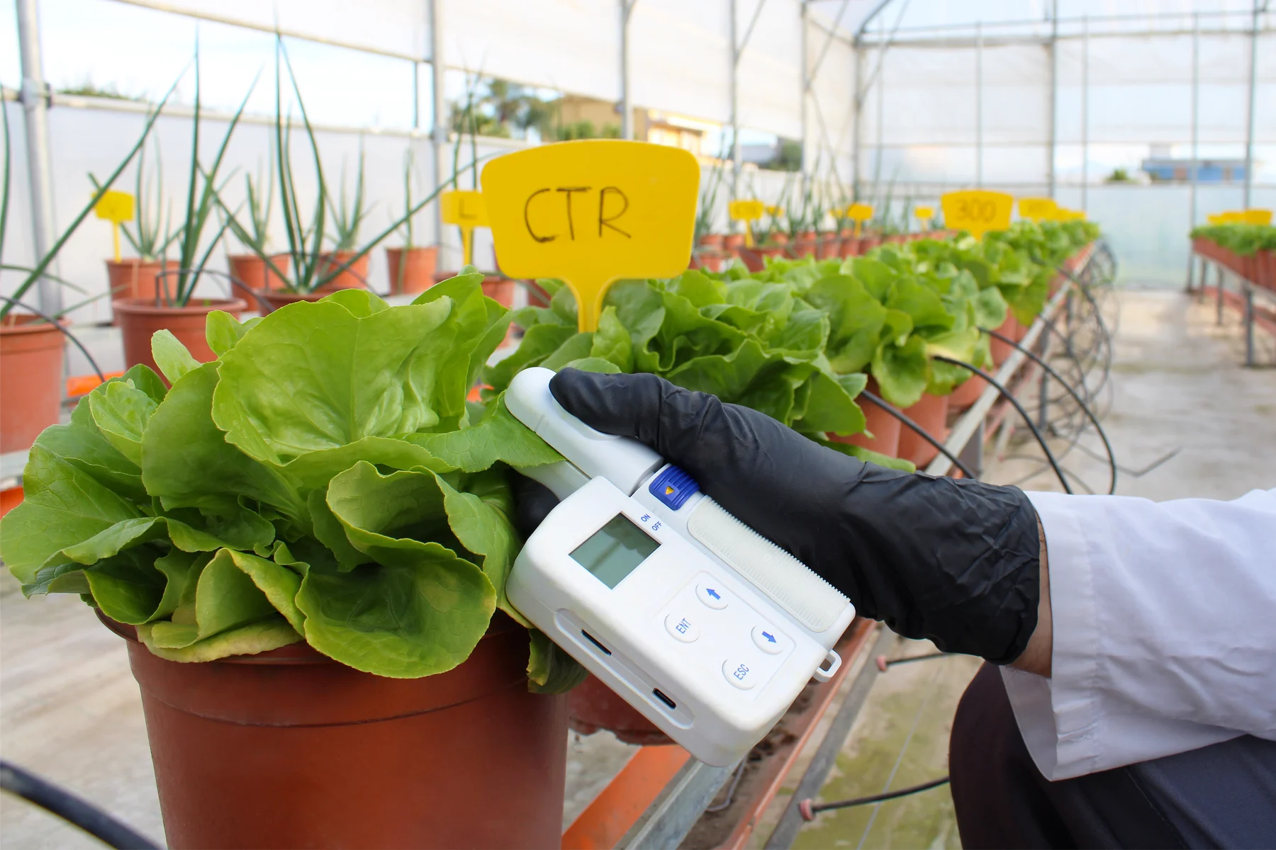 Gli strumenti utilizzati nella nostra FERTILSERRA