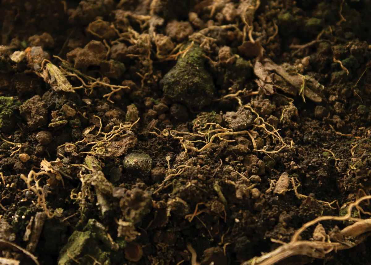 Fertilizzanti e prodotti uso biologico