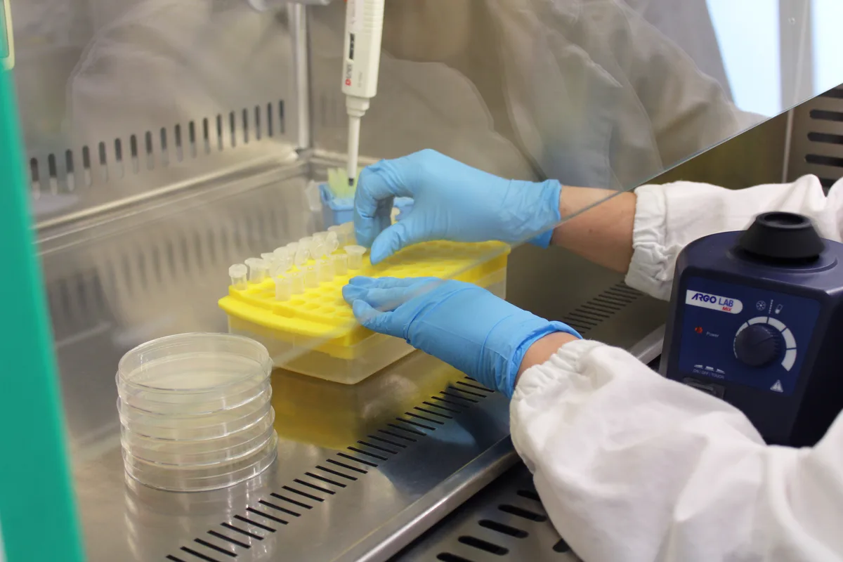Preparazione delle colture microbiche sotto cappa nel laboratorio FERTILAB