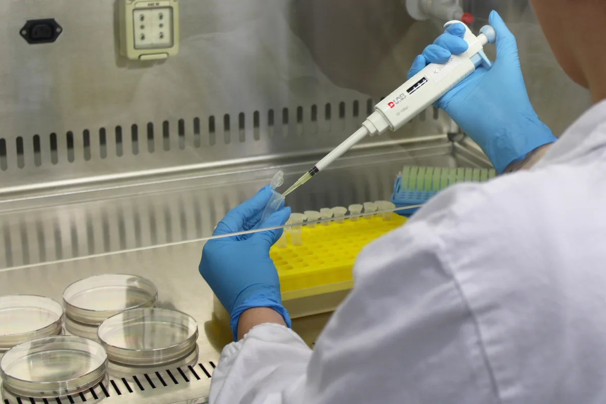 Dosaggi e trasferimenti con micropipetta in ambiente controllato
